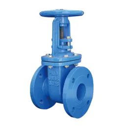 Other Valve Other Valve