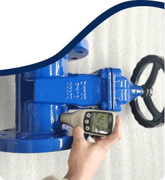 Spray Surface Inspection