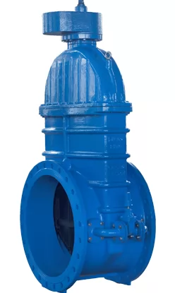 Gate Valve