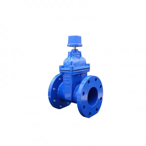 Resilient Seated Gate Valve AWWA C509 DN50-DN600