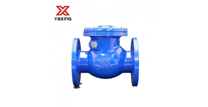 Definitely headed for success